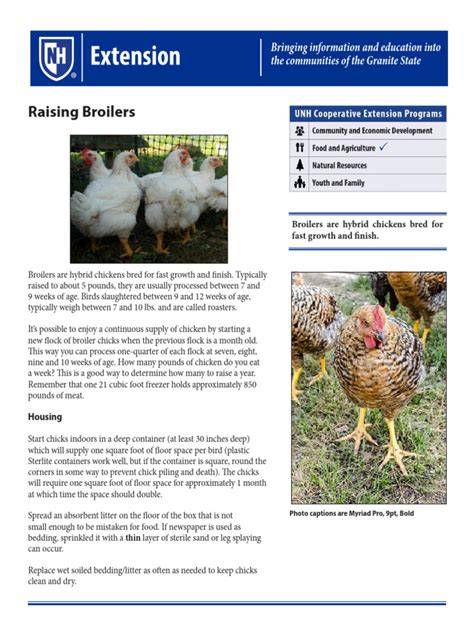 Raising Broilers - Extension - raincitystudios.com