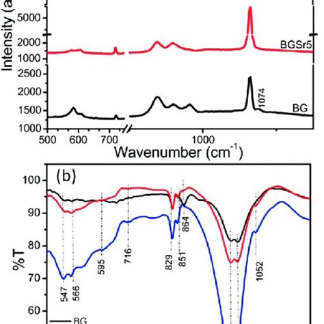 RAMAN SPECTRUM OF STRONTIUM TITANATE - Ohio State …