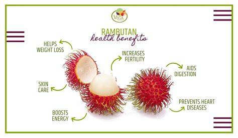Rambutan: Benefits and Nutrition - raincitystudios.com