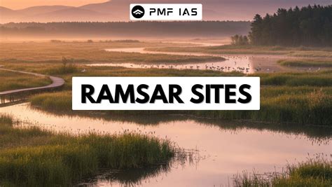 Ramsar Site - Nariva Swamp - biodiversity.gov.tt - raincitystudios.com