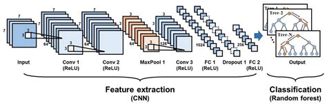 Random Forest and CNN Hybrid Model for CloudAssisted - coolestguyplanet.net