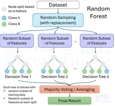Random Forest - Definition, Algorithms With Examples - coolestguyplanet.net
