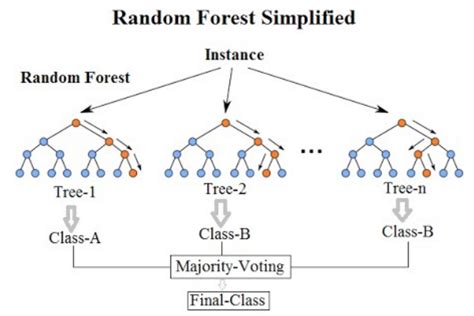 Random Forest from scratch - eo science for society - wintechmobiles.com