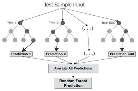 Random Forest Regression in Python - GeeksforGeeks - wintechmobiles.com