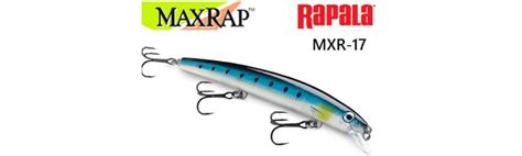 codini.rgarabwor.edu.pl. 