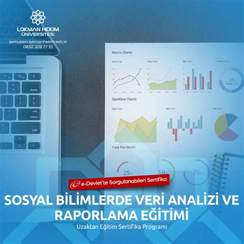RAPORLAMA . 