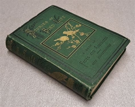 Rare Book Conservation | Preservation Services - muktibox.com