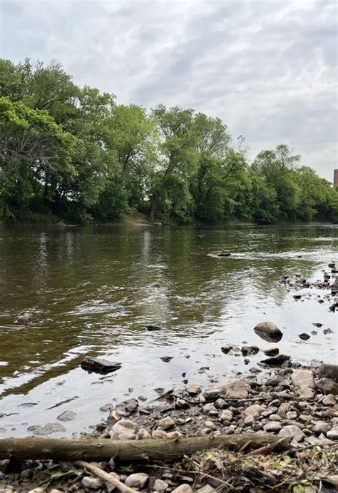 Raritan River Floodplain Reforestation Project - raincitystudios.com