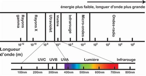 Rayonnement ultraviolet - World Health Organization (WHO) - coolestguyplanet.net