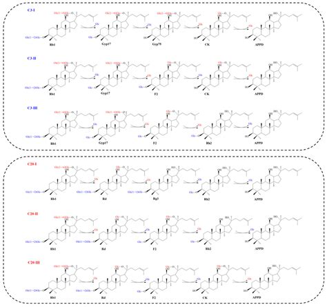codini.rgarabwor.edu.pl. 