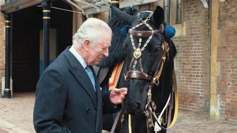 RCMP gifts musical ride horse to King Charles ahead of upcoming coronation