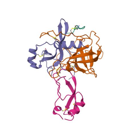 RCSB PDB - 1CBW: BOVINE CHYMOTRYPSIN COMPLEXED TO BPTI