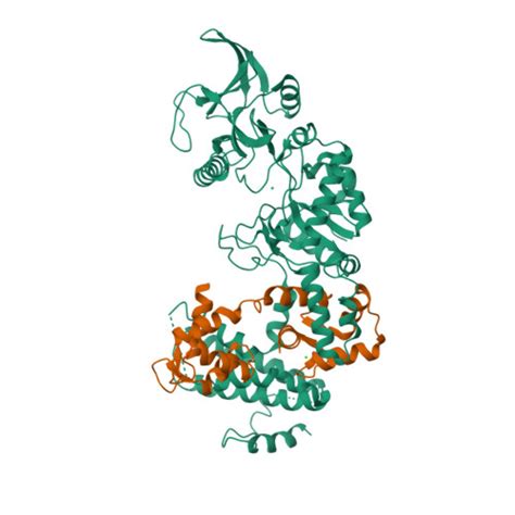 RCSB PDB - 1S26: Structure of Anthrax Edema Factor-Calmodulin …