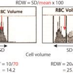 RDW eClinpath