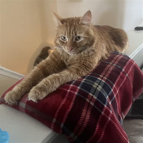 Re-Entry Aerodynamics | AIAA Education Series - wintechmobiles.com