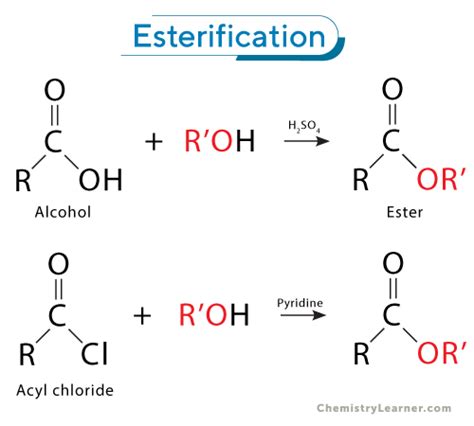Reactions of Amino Acids: Esterification Explained: Definition ... - wintechmobiles.com