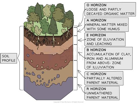 Reading: Soil Horizons and Profiles | Geology - Lumen … - wintechmobiles.com