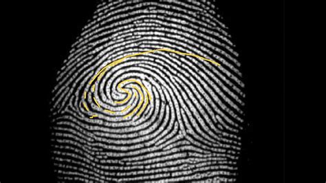 Reading Europa's Fingerprints - Universe Today - wintechmobiles.com