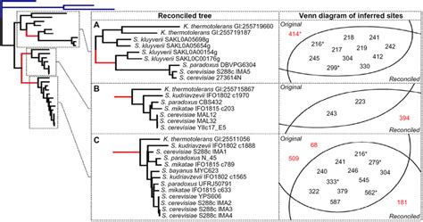 Real Sequences - wintechmobiles.com