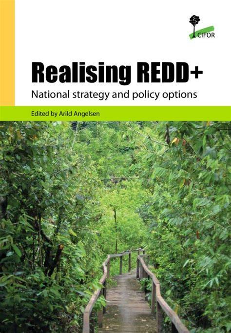 Realising REDD+: national strategy and policy options - raincitystudios.com