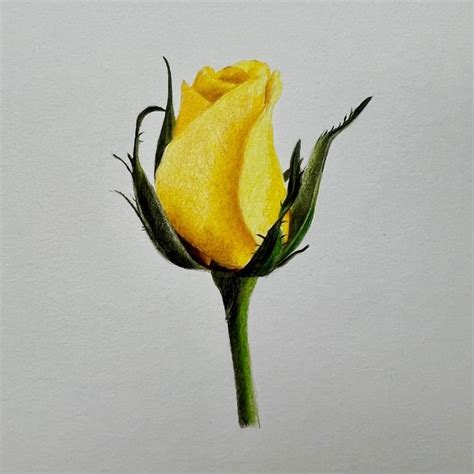 Realistic & Artistic Faux Stone Wall Carving and Painting ... - muktibox.com