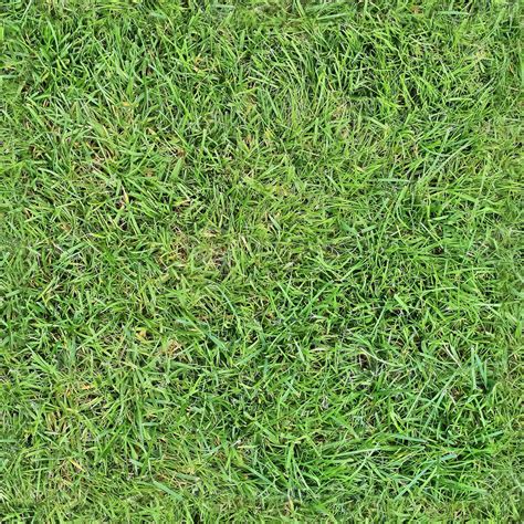 Realistic Grass Texture Vectors - Freepik - muktibox.com