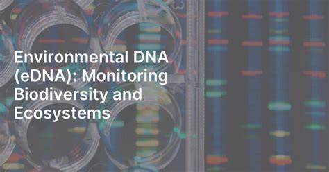 Realizing the potential of eDNA biodiversity monitoring tools in the ... - raincitystudios.com