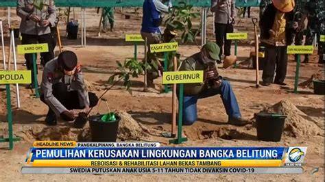 Reboisasi dan Rehabilitasi Lahan Bekas Tambang Ilegal - raincitystudios.com