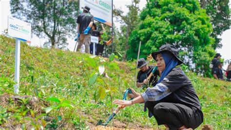 Reboisasi Hutan dari Lahan Bekas Tambang - Republika Online - raincitystudios.com