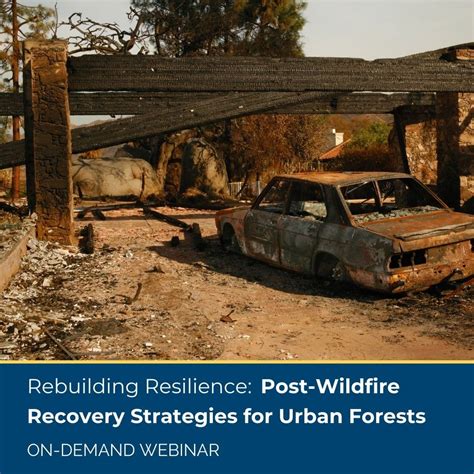 Rebuilding Post-Wildfire - Ready for Wildfire - raincitystudios.com