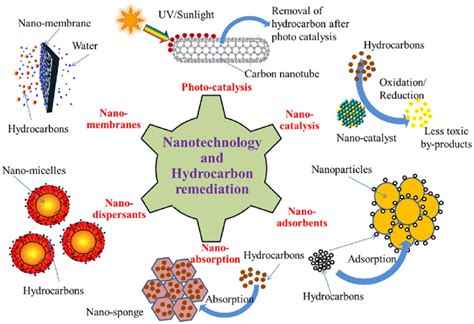Recent Advancements in the Remediation of Marine Hydrocarbon and ... - raincitystudios.com