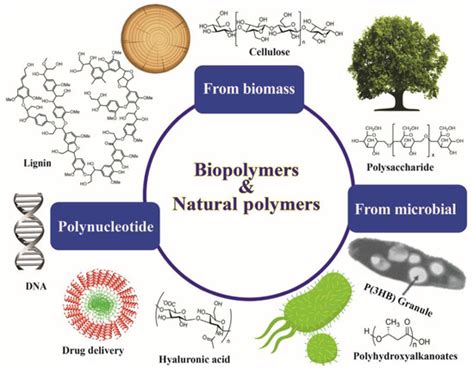 Recent advances in biodegradable polymers for sustainable ... - Nature - wintechmobiles.com