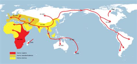 Recent African origin of modern humans - wintechmobiles.com