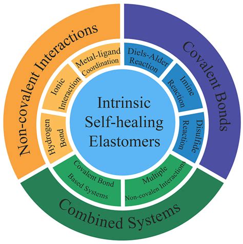 Recent progress in bio-based elastomers with intrinsic self-healing ... - wintechmobiles.com