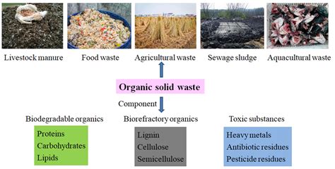 Recent trends and advances in composting and vermicomposting ... - muktibox.com