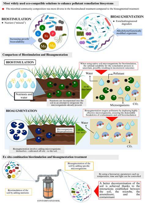 Recent trends in bioremediation and bioaugmentation strategies for ... - raincitystudios.com