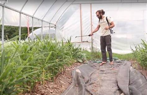 Recipe for Success: Brew Your Own Biofertilizer - raincitystudios.com
