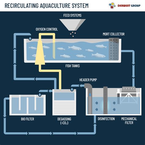 Recirculating aquaculture systems | Business Queensland - raincitystudios.com