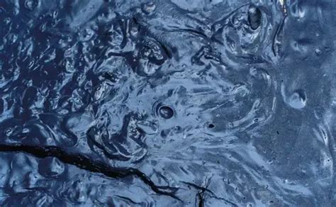 Reclaiming the History of American Indigo - Pulitzer … - wintechmobiles.com