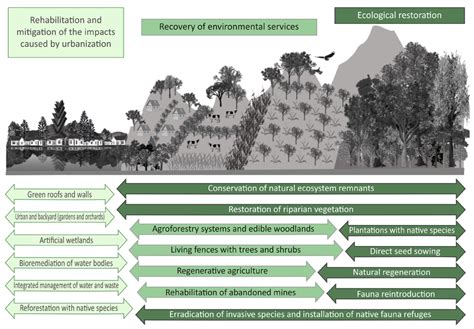 Reclamation's Environmental Impact: Balancing Land Restoration And ... - raincitystudios.com