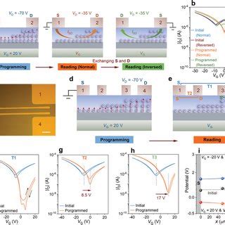 Reconfigurable Ambipolar Non-Volatile Transistors for Fuzzy Logic ... - wintechmobiles.com