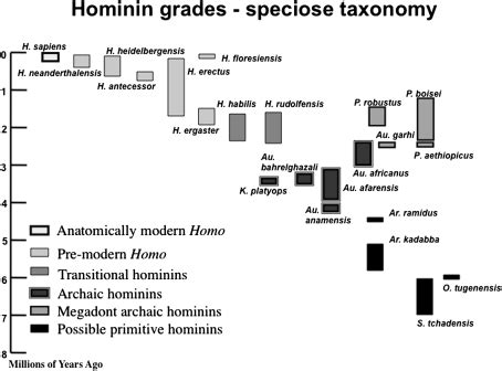 Reconstructing Human Evolution: Achievements, Challenges, and ... - wintechmobiles.com