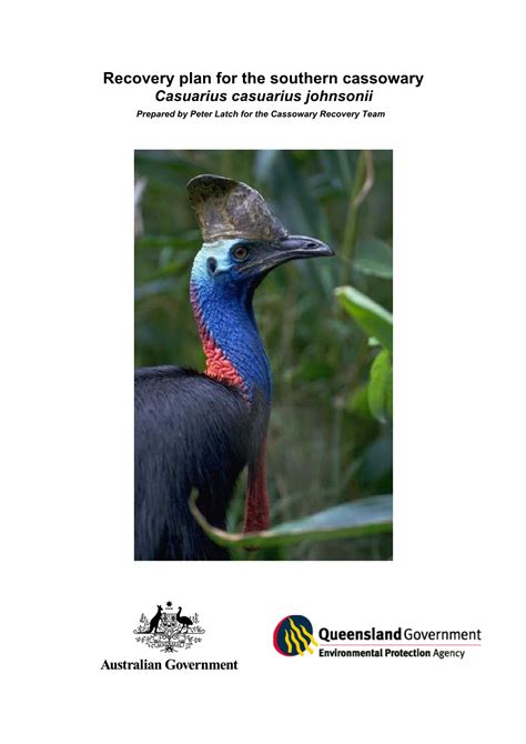 Recovery plan for the southern cassowary - DAFF - raincitystudios.com