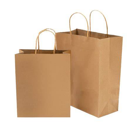 Recycled Kraft Paper Shopping Bags - Earthpack - raincitystudios.com