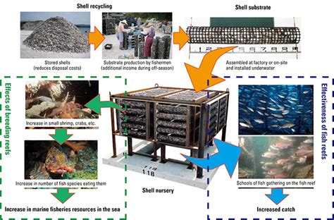 Recycling Seashell By-products for Sustainable Water and Sediment ... - muktibox.com