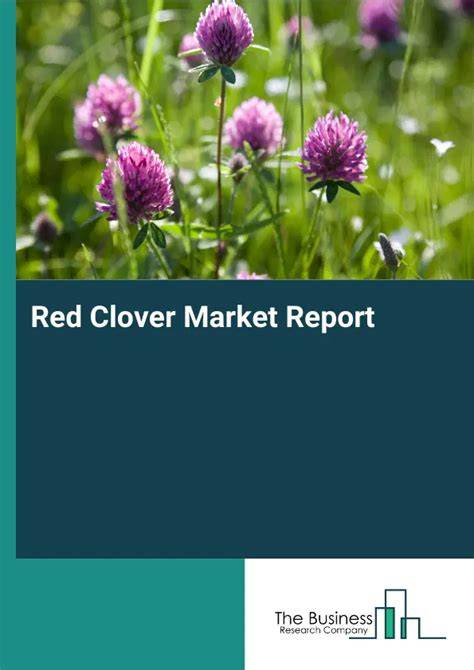 Red Clover Global Market Report 2026 - raincitystudios.com