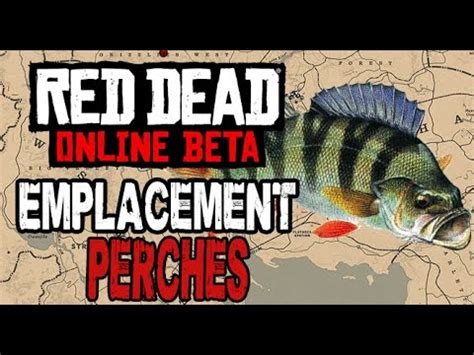 RED DEAD ONLINE - EMPLACEMENT PERCHES / perch location - YouTube