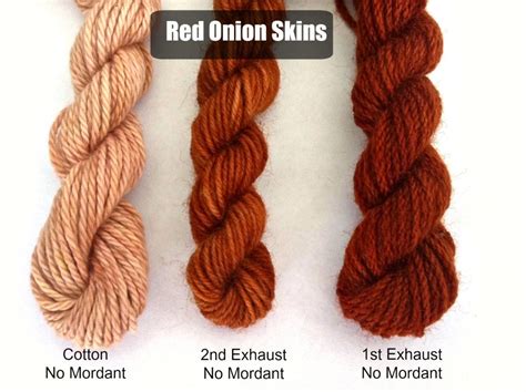 Red Onion Skin Dye - wintechmobiles.com