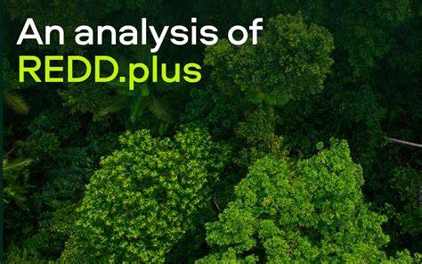 REDD+ | Green Climate Fund - raincitystudios.com