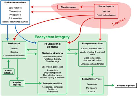 Redirecting to /news/ecological-connectivity-essential-component ... - raincitystudios.com